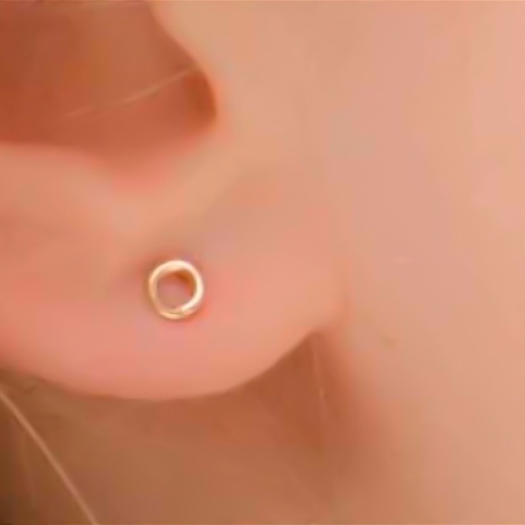 RESTOCKED! Fake Gauges - Faux Gauged Piercings - Stud Earrings Silver Gold Rose - Picture 2 of 5